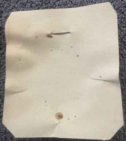 Cream-colored paper backing with embossed silver-tone police badge showing wear, dirt spots, and small tears, photographed fl