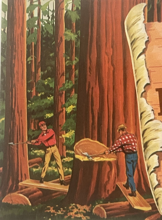 Vintage 1960s Van Camp's Bean Hole Beans Label 🌲 Lumberjack & Canoe North Woods Art NOS 9.5 x 4.5