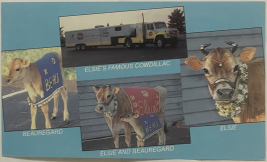 Vintage Elsie and Beauregard Borden Cow Postcard 🃏 RIP to Another USA Icon!