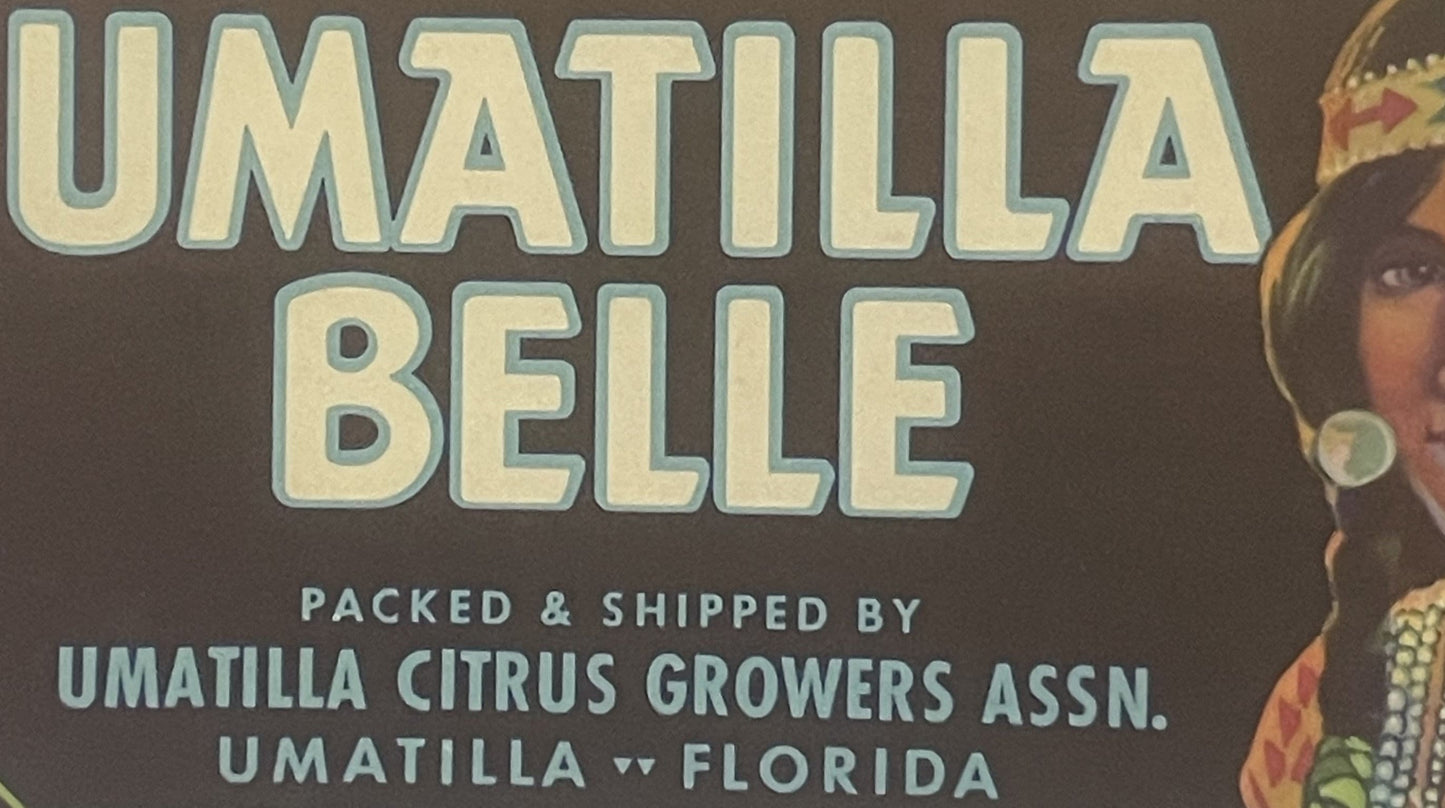 Vintage Umatilla Belle Crate Label 🍊 Native American Beauty, Umatilla Florida Citrus Art