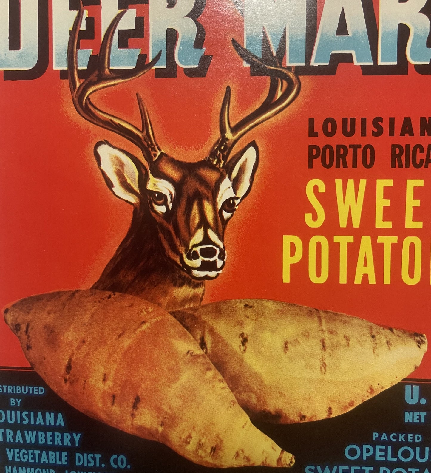 Vintage 1950s Deer Mark Brand Louisiana Porto Rican Sweet Potato Crate Label 🦌 — Opelousas Sweet Potato Co., Sunset & Hammond LA