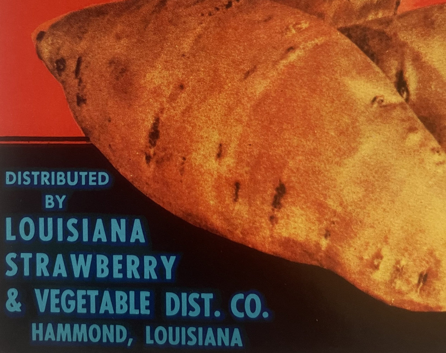Vintage 1950s Deer Mark Brand Louisiana Porto Rican Sweet Potato Crate Label 🦌 — Opelousas Sweet Potato Co., Sunset & Hammond LA
