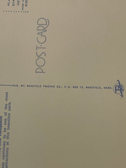 Back of vintage postcard showing "Postcard" text vertically, publisher info for Wakefield Trading Co., and partial text about