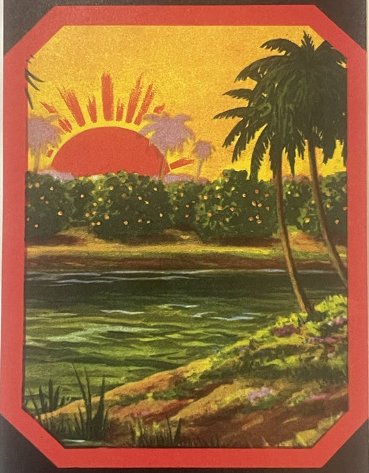 Vintage 1940s Orlando Shine Crate Label Tropical Collectible