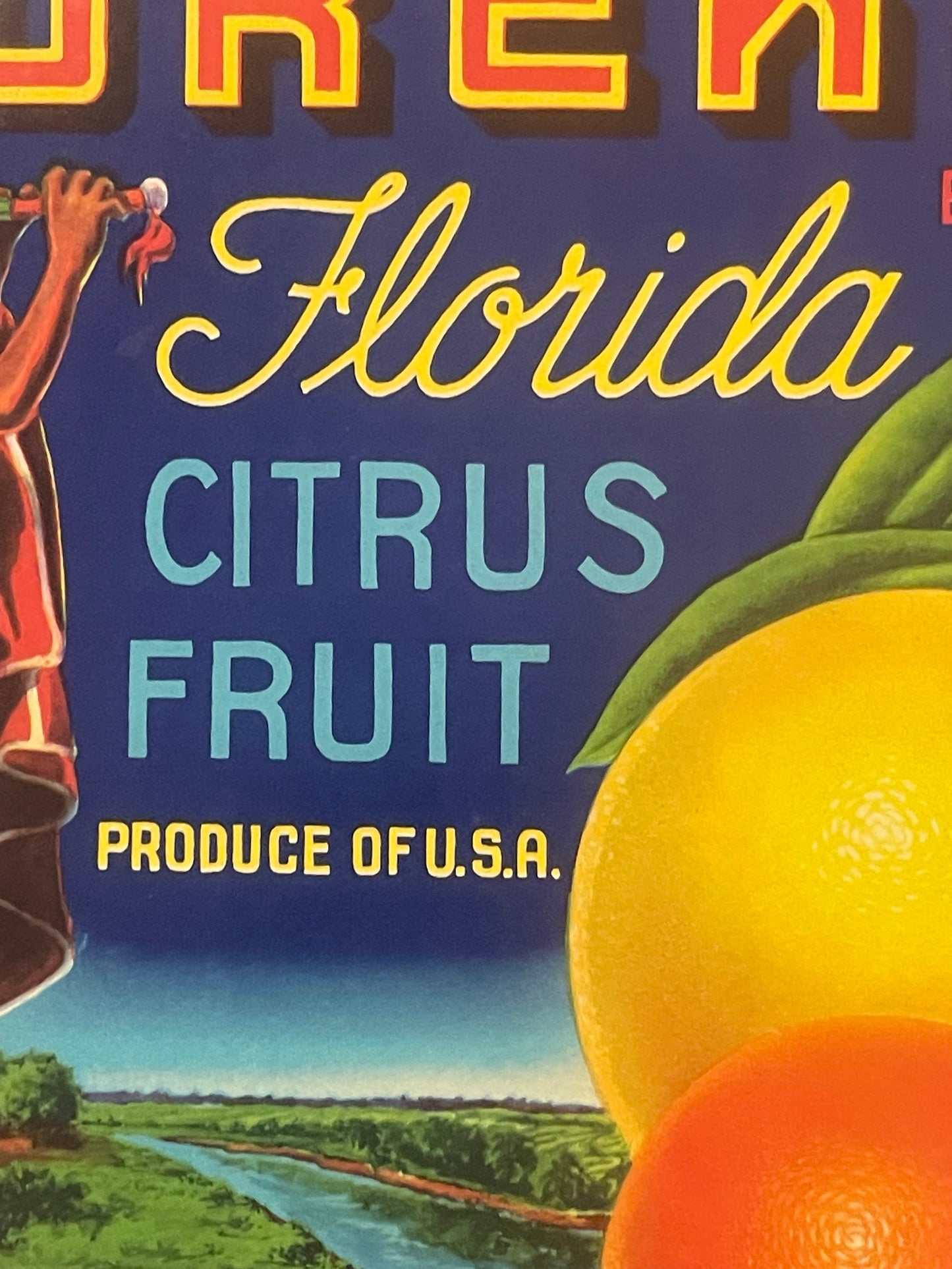 Vintage citrus crate label with "Florida Citrus Fruit" in yellow script on blue background, featuring large yellow lemon and 