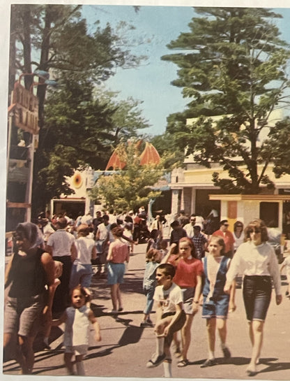 Vintage postcard showing crowded midway with visitors walking among colorful buildings and tall trees, with red-roofed struct