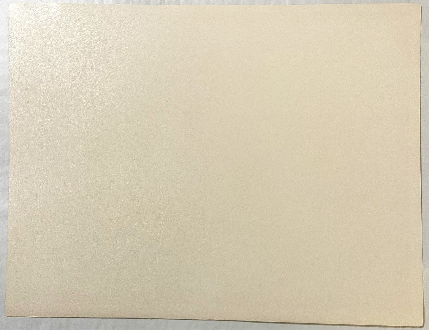 Blank cream-colored page or backing of a vintage art print, shown flat against gray surface