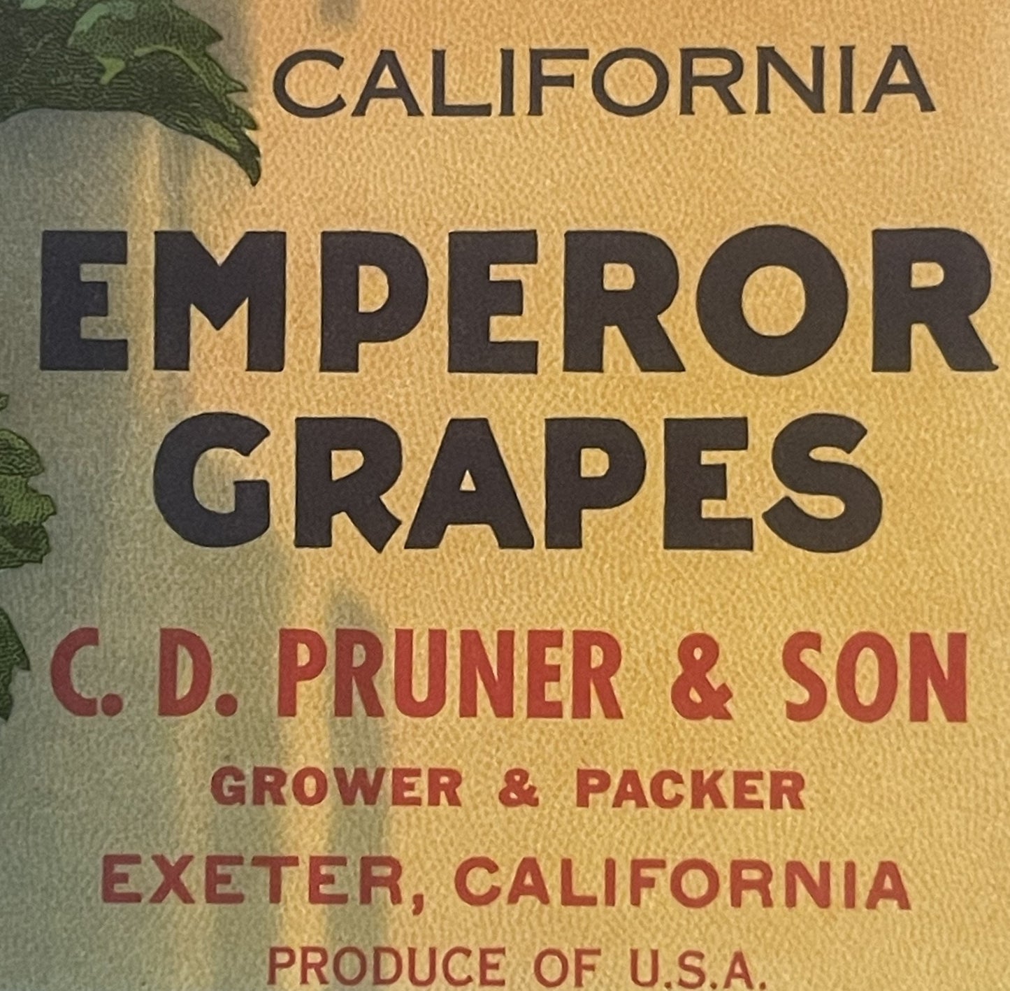 Vintage California Emperor Grapes crate label with black and tan text, grape leaf illustration, C.D. Pruner & Son grower deta