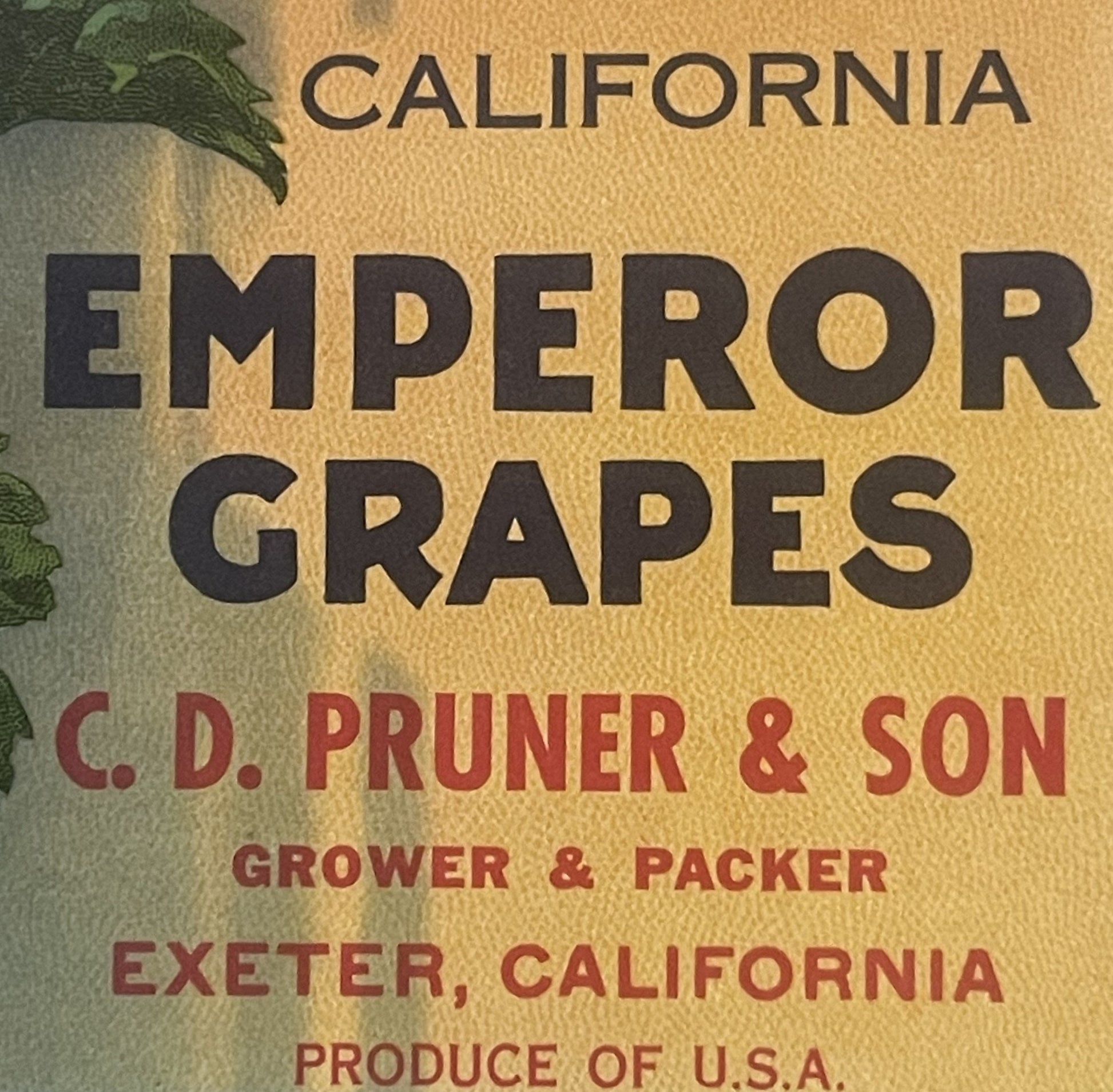 Vintage California Emperor Grapes crate label with black and tan text, grape leaf illustration, C.D. Pruner & Son grower deta