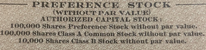 Close-up of embossed text on beige stock certificate showing authorized capital stock details for 100,000 preference shares a