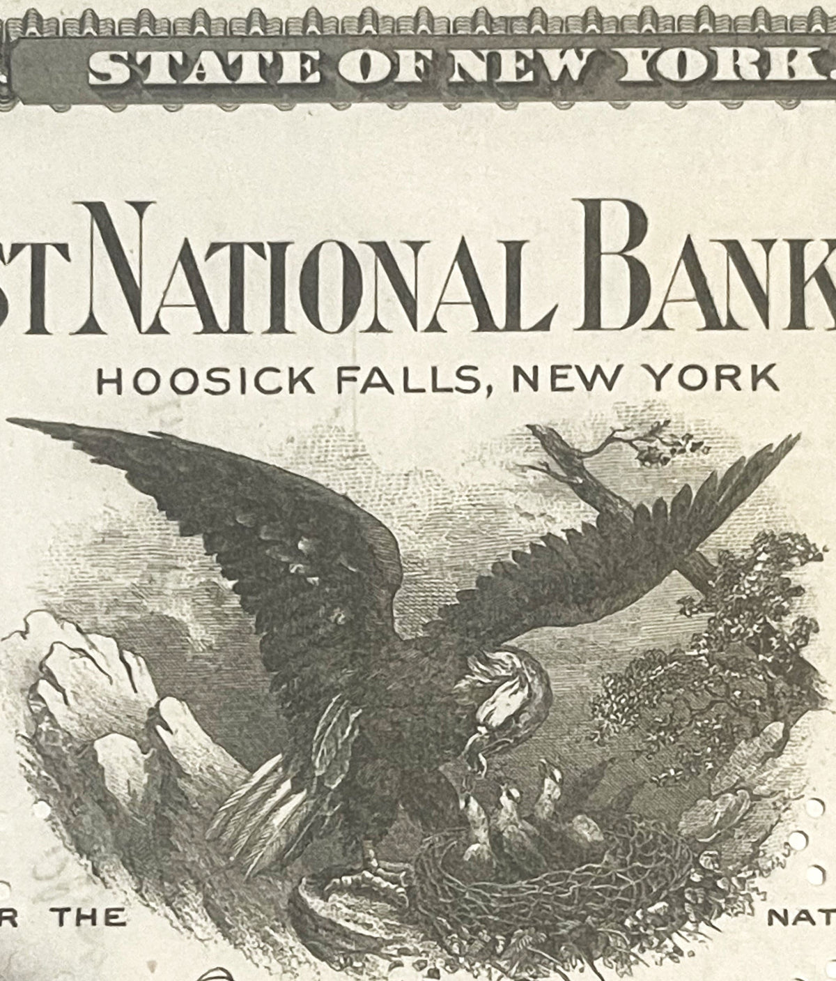Antique bank stock certificate header showing "State of New York" and "First National Bank, Hoosick Falls, New York" with eng