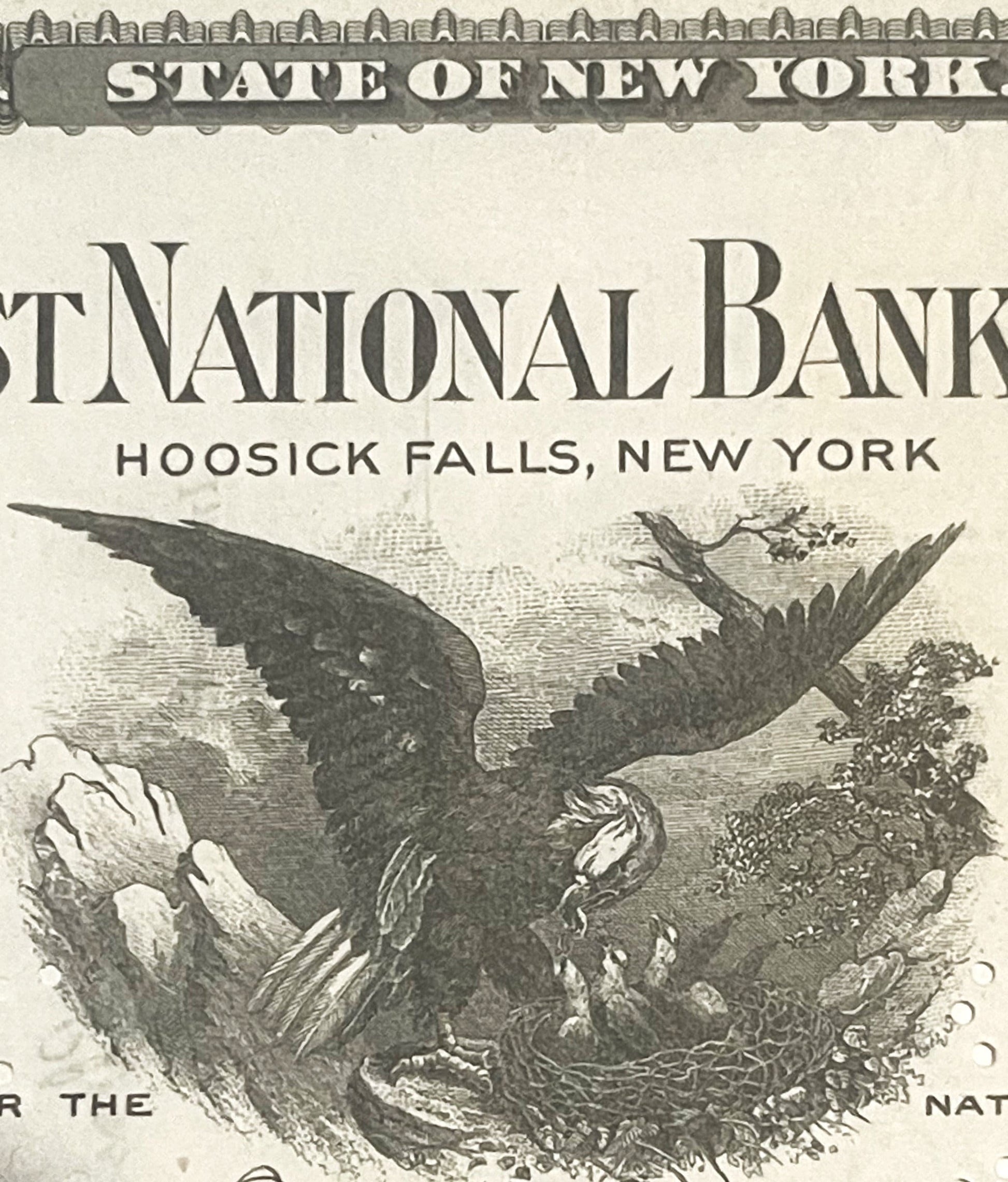 Antique bank stock certificate header showing "State of New York" and "First National Bank, Hoosick Falls, New York" with eng