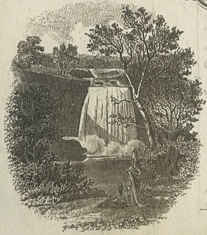Black and white engraving showing a waterfall surrounded by dense forest trees, centered on an antique bank stock certificate