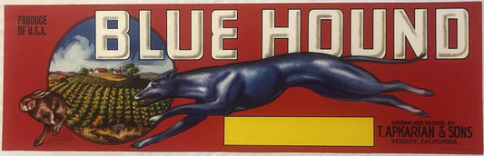 Antique Vintage 1950s Blue Hound Crate Label 🍎 Reedley, CA, Greyhound Dog Racing!