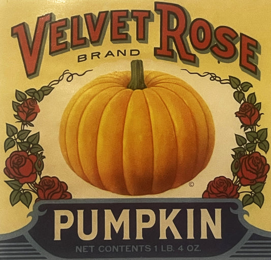 Vintage Velvet Rose Pumpkin Can Label 🎃 Brighton Canning Co. Iowa Country Store Advertising