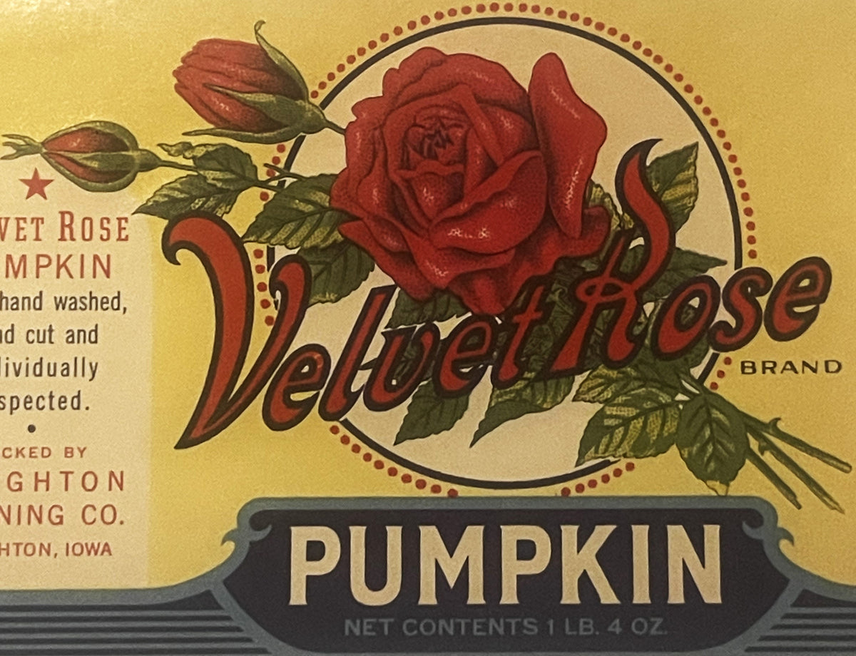 Vintage Velvet Rose Brand pumpkin can label featuring a red rose, green leaves, and decorative text on cream background, 1 lb