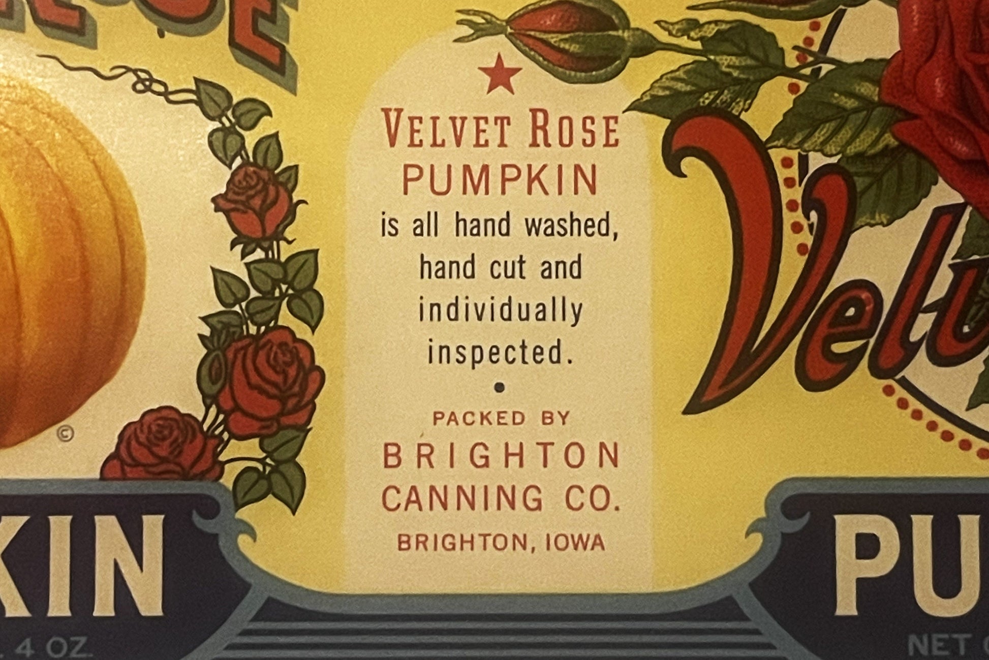 Vintage pumpkin can label with velvet roses, text reading "Velvet Rose Pumpkin" and "Packed by Brighton Canning Co. Brighton,