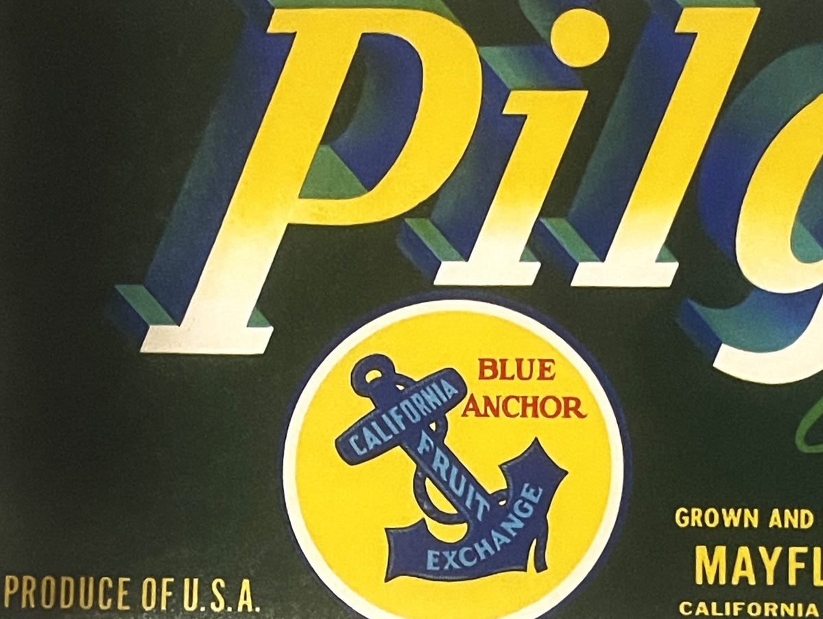 Vintage fruit crate label with yellow "Pilgrim" text, blue anchor logo, and "Blue Anchor California Fruit Exchange" circular 