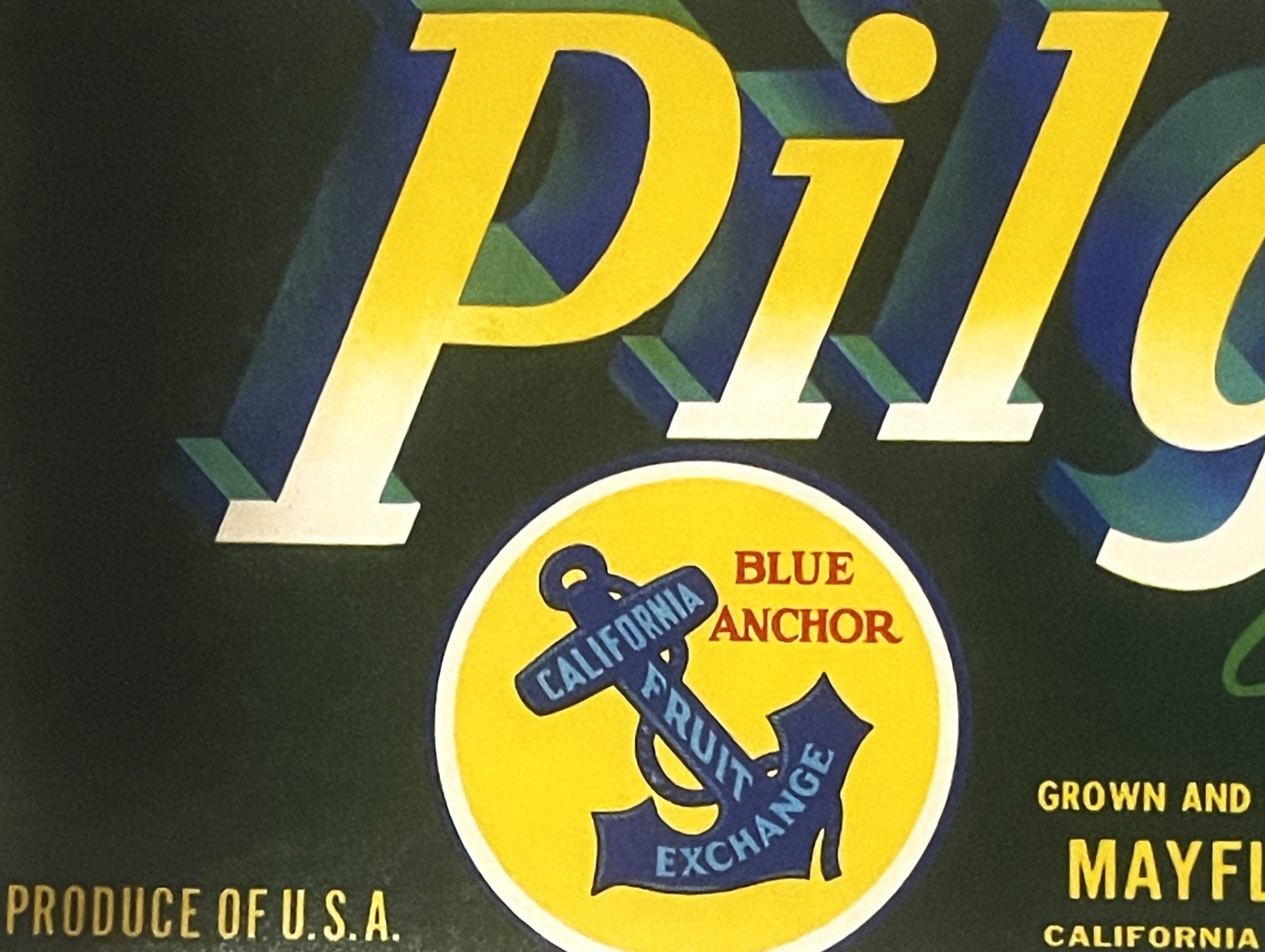 Vintage fruit crate label with yellow "Pilgrim" text, blue anchor logo, and "Blue Anchor California Fruit Exchange" circular 