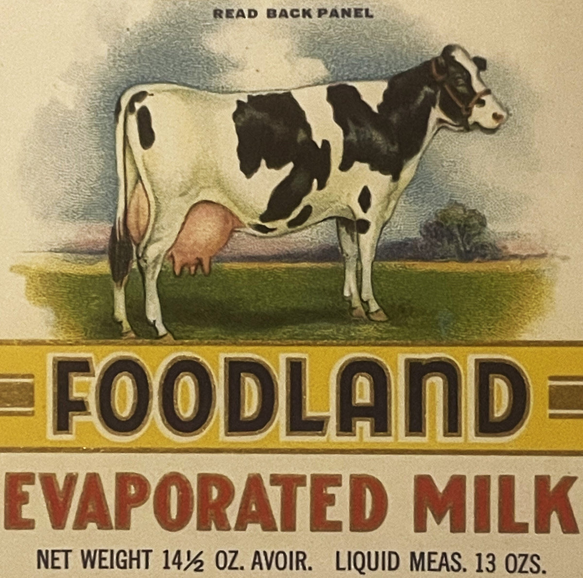 Close-up of the Foodland Evaporated Milk label: a black-and-white Holstein cow standing in a green pasture above the yellow FOODLAND banner and red EVAPORATED MILK lettering, net weight 14 1/2 oz.