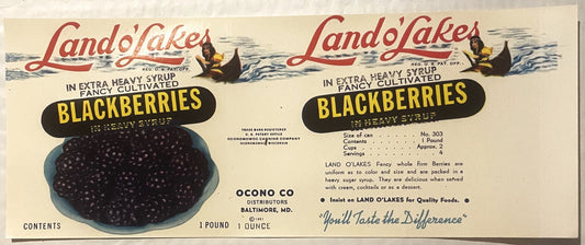 Rare Antique Vintage 1950s Land O' Lakes Can Label ✨ Baltimore MD, RIP Icon Mia!