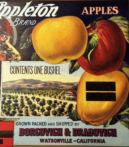 Vintage Appleton Brand apple crate label featuring yellow and red apples, orchard scene, and text crediting Borgovich & Drago