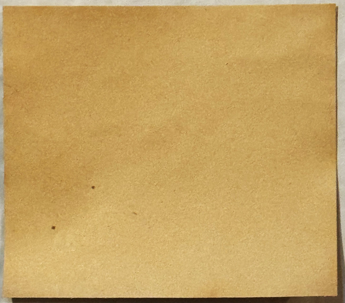 Tan cardboard backing or label sheet with minor dark spots and creasing, photographed flat against white background