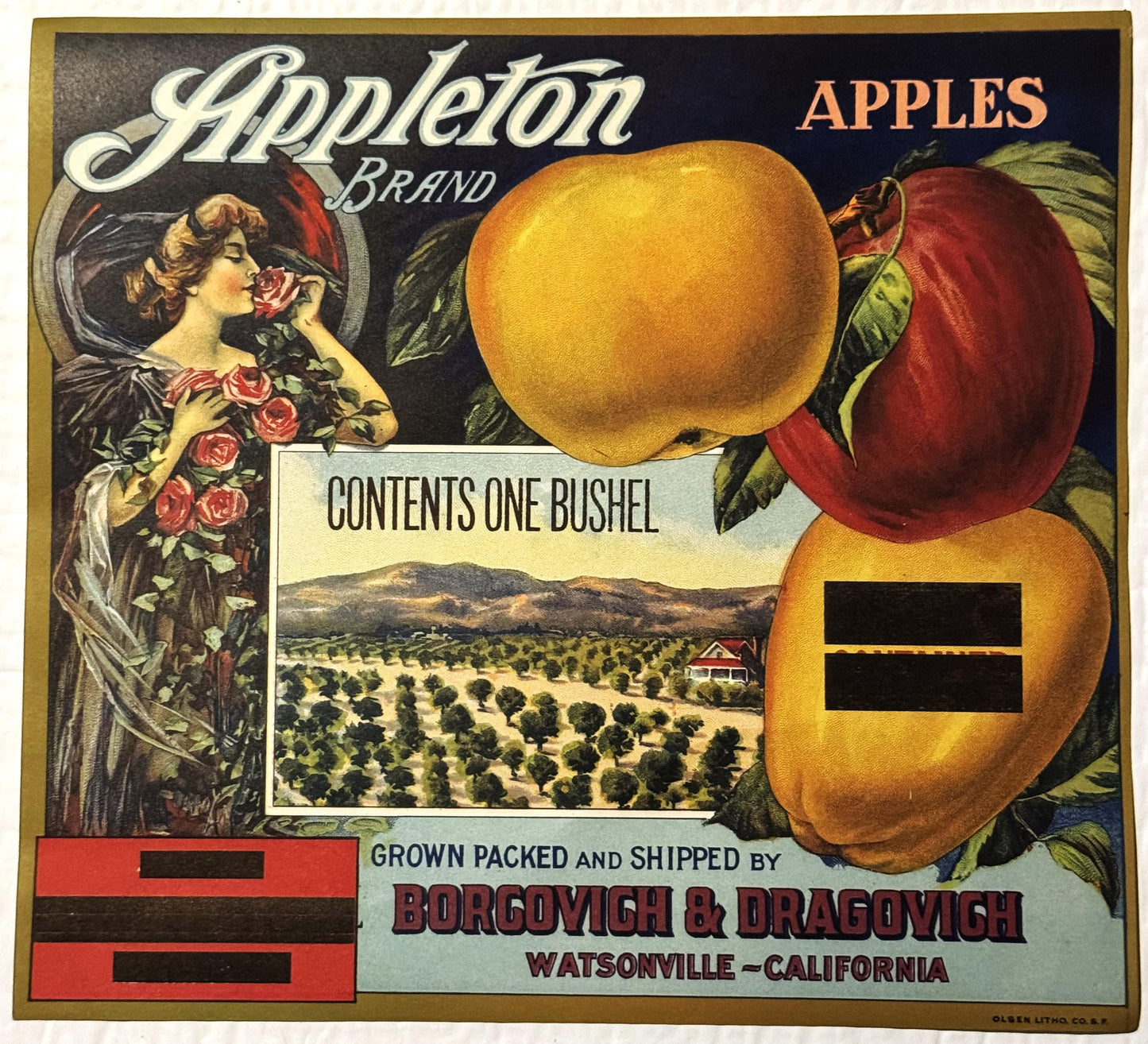 Vintage Appleton Brand apple crate label featuring a woman with roses, three apples, and an orchard landscape, printed by Bor