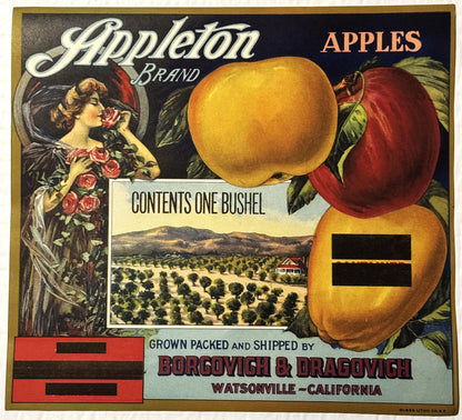 Vintage Appleton Brand apple crate label featuring a woman with roses, three apples, and an orchard landscape, printed by Bor