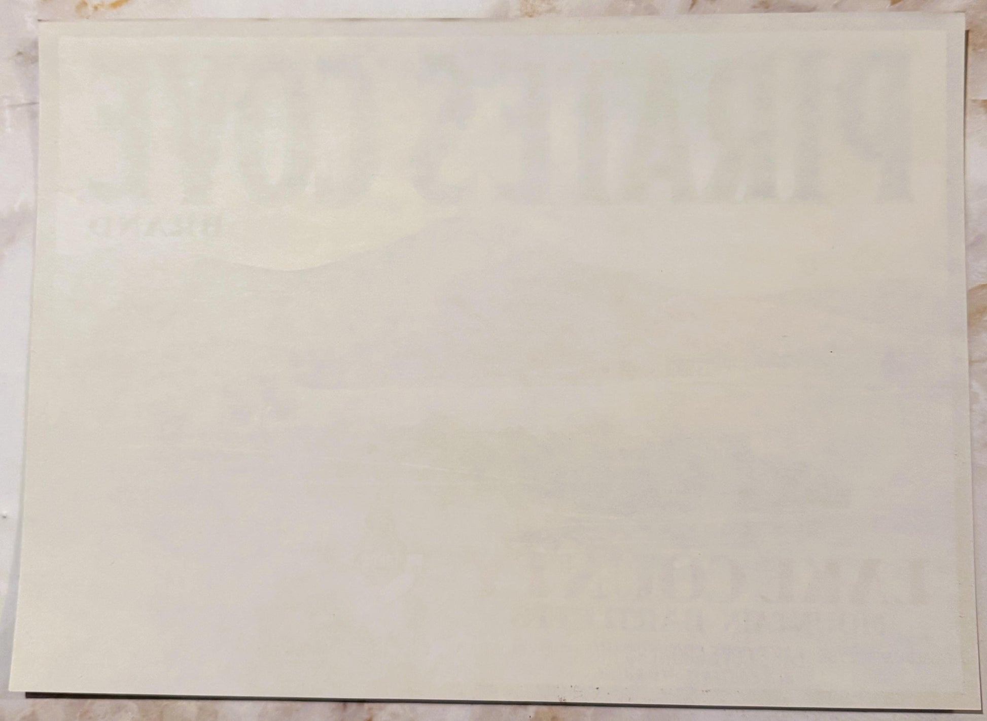 Blank cream-colored vintage fruit crate label with faint watermark, photographed flat against textured surface
