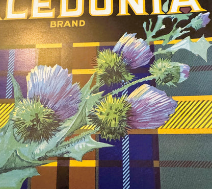 Vintage orange crate label featuring purple and yellow thistle flowers with green leaves on geometric patterned background in