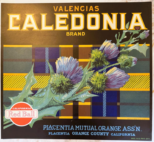 Antique 1930s Caledonia Brand Marsh Seedless Grapefruit Crate Label — Placentia Mutual Orange Ass'n, CA