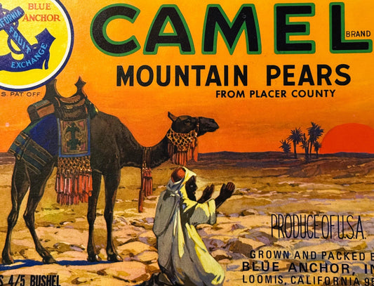 Vintage 1960s Camel Mountain Pears Crate Label 🍐 Loomis CA, Desert Decor