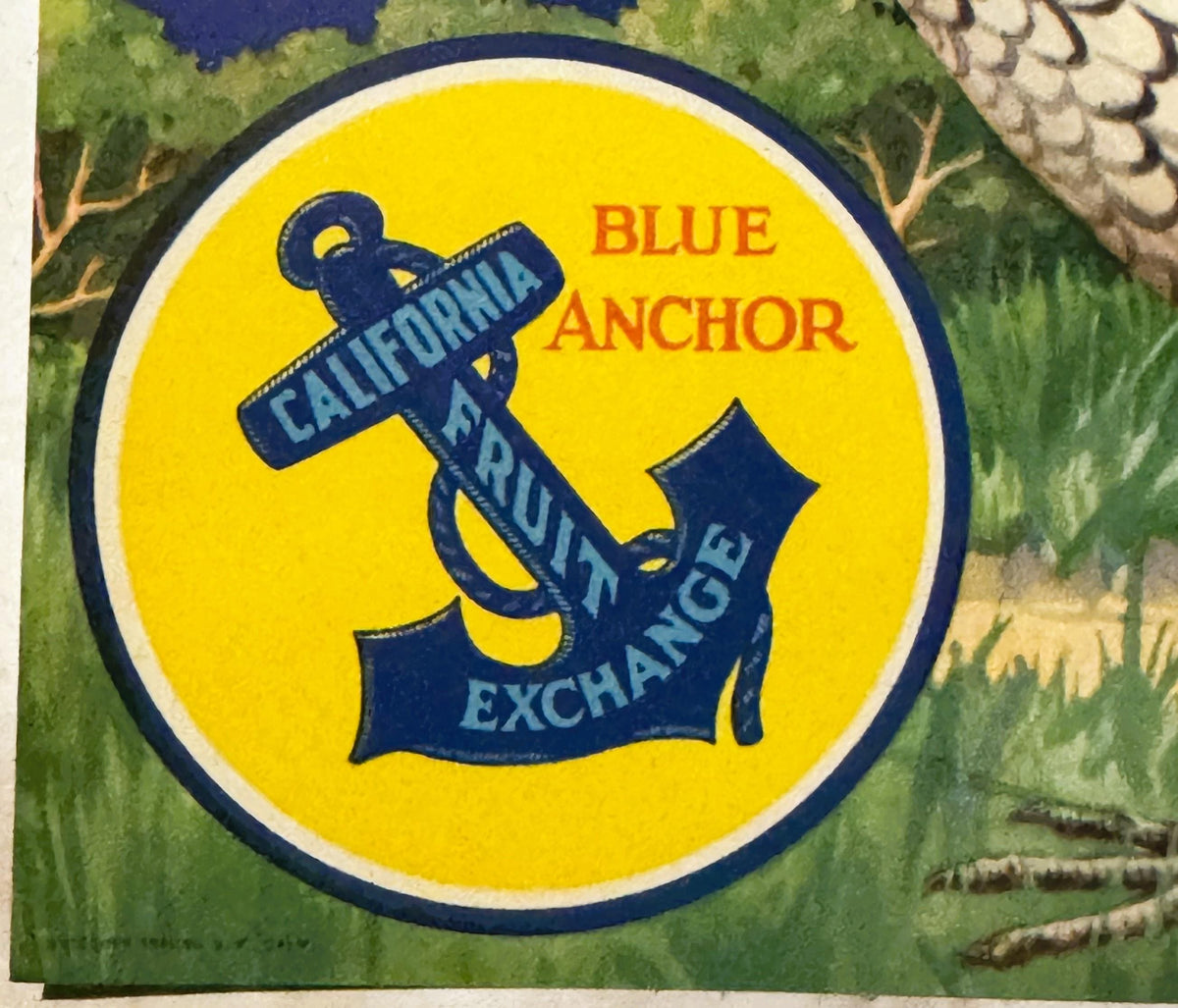 Vintage fruit crate label with navy blue anchor and "California Fruit Exchange" text on bright yellow circle, surrounded by f