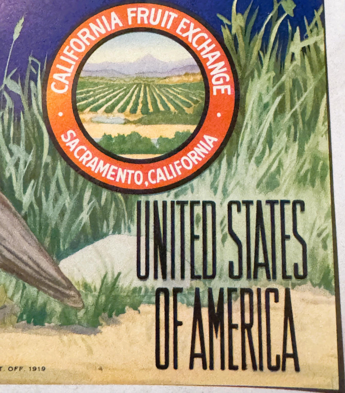 Vintage fruit crate label showing California Fruit Exchange, Sacramento with circular landscape vignette of agricultural fiel