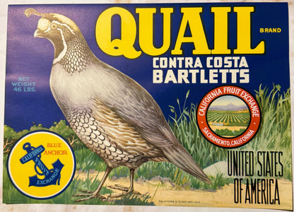 Vintage fruit crate label featuring a detailed quail illustration on blue background with yellow "QUAIL" text and California 