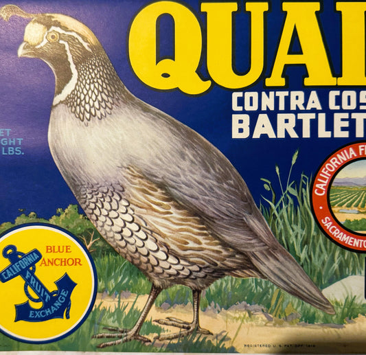 Vintage 1940s Quail Brand Crate Label 🍎 Contra Costa Bartlett Pears, Blue Anchor California Fruit Exchange, Valley Quail Bird Art
