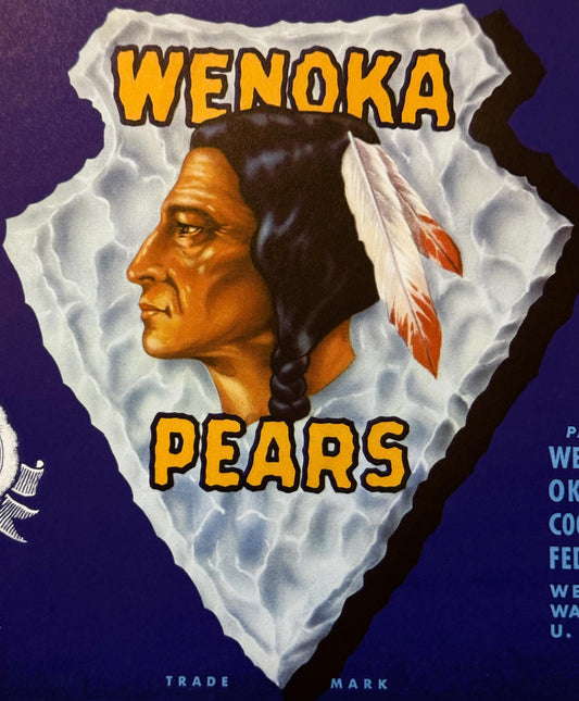 Vintage 1940s Wenoka Crate Label 🍎 Wenatchee, WA, Native American Chief Decor!