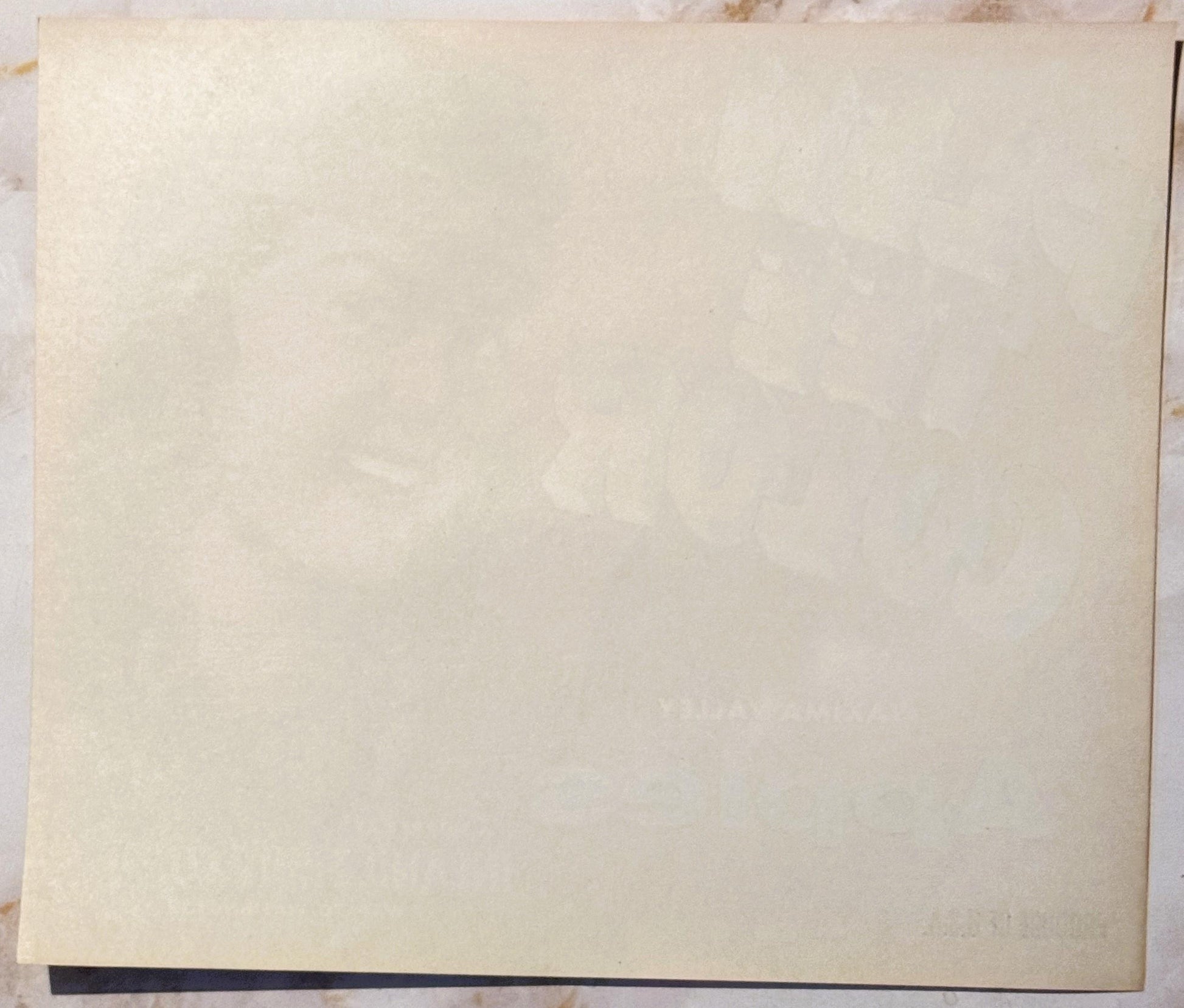 Blank cream-colored vintage fruit crate label with dark border, photographed flat against light background
