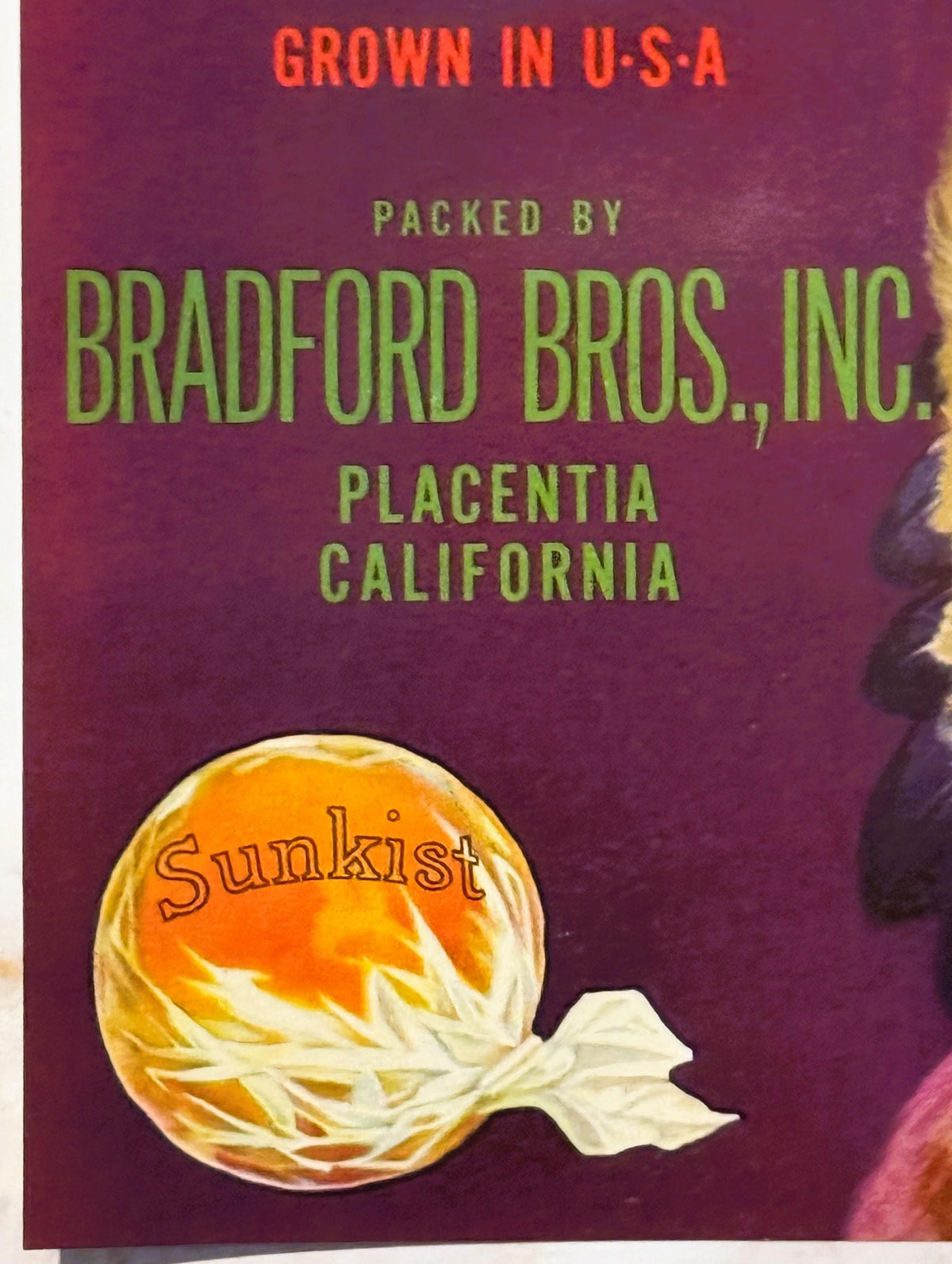 Vintage fruit crate label with burgundy background, orange illustration of wrapped orange labeled "Sunkist," and green text r
