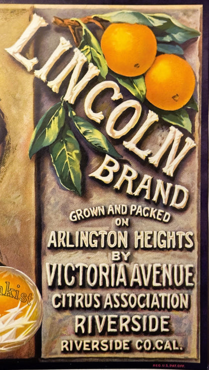 Vintage citrus crate label featuring "Lincoln Brand" oranges with green leaves and fruit illustrations, text reading "Arlingt