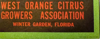 Vintage citrus crate label with orange text on dark background reading "West Orange Citrus Growers Association Winter Garden,