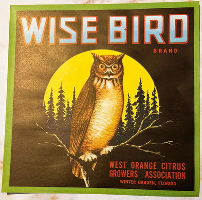Vintage citrus crate label featuring an owl perched on a branch against a full moon with pine trees, printed in orange, yello