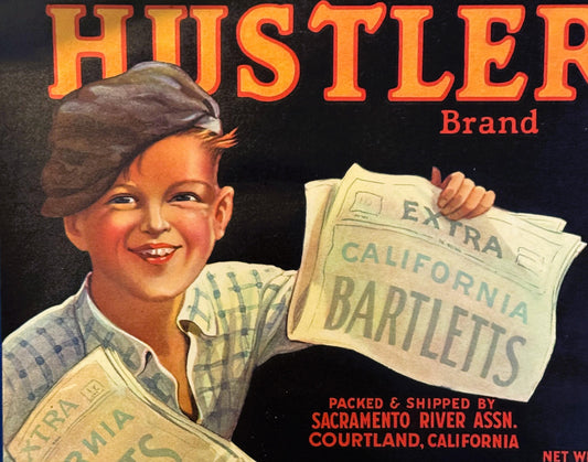 Vintage 1940s Hustler Crate Label 🍎 Courtland, CA, Classic Newsboy Americana!