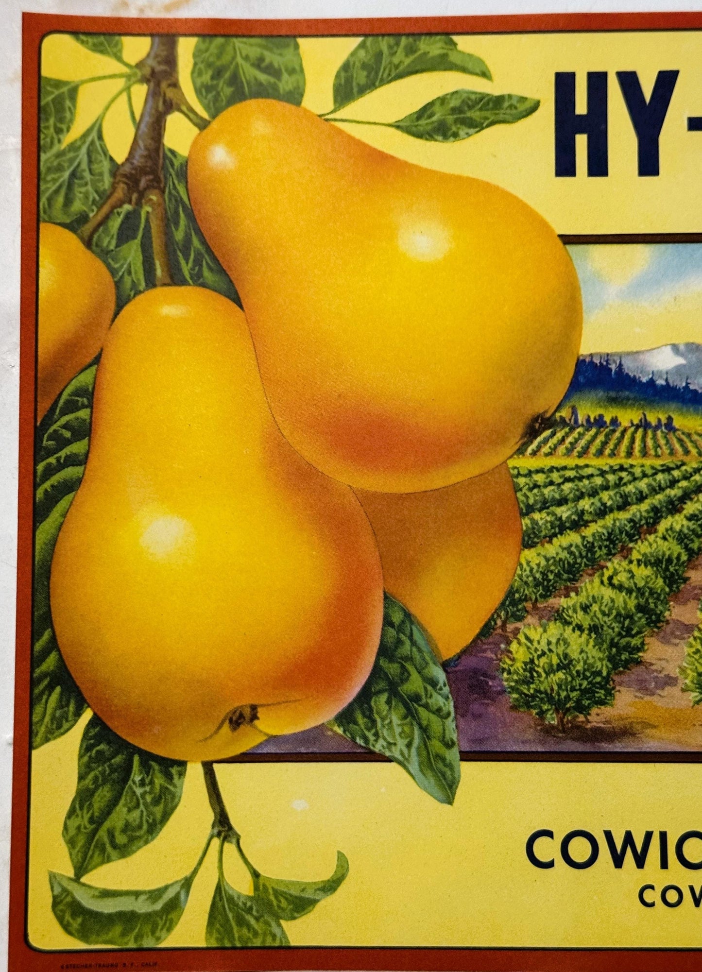 Vintage fruit crate label featuring two yellow pears with green leaves against yellow background, agricultural landscape scen