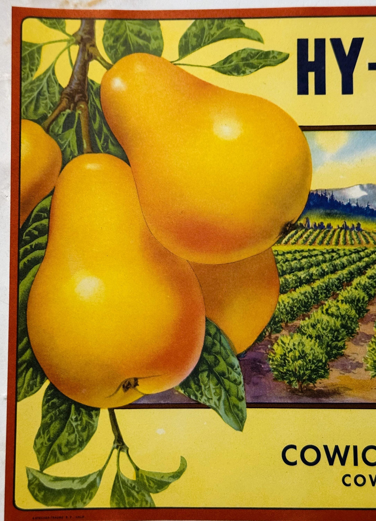 Vintage fruit crate label featuring two yellow pears with green leaves against yellow background, agricultural landscape scen