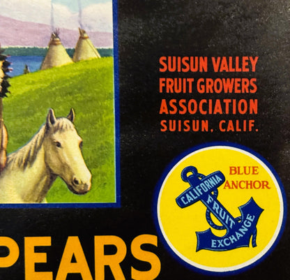 Vintage fruit crate label featuring a white horse in a green meadow with teepees, text reading "Suisun Valley Fruit Growers A