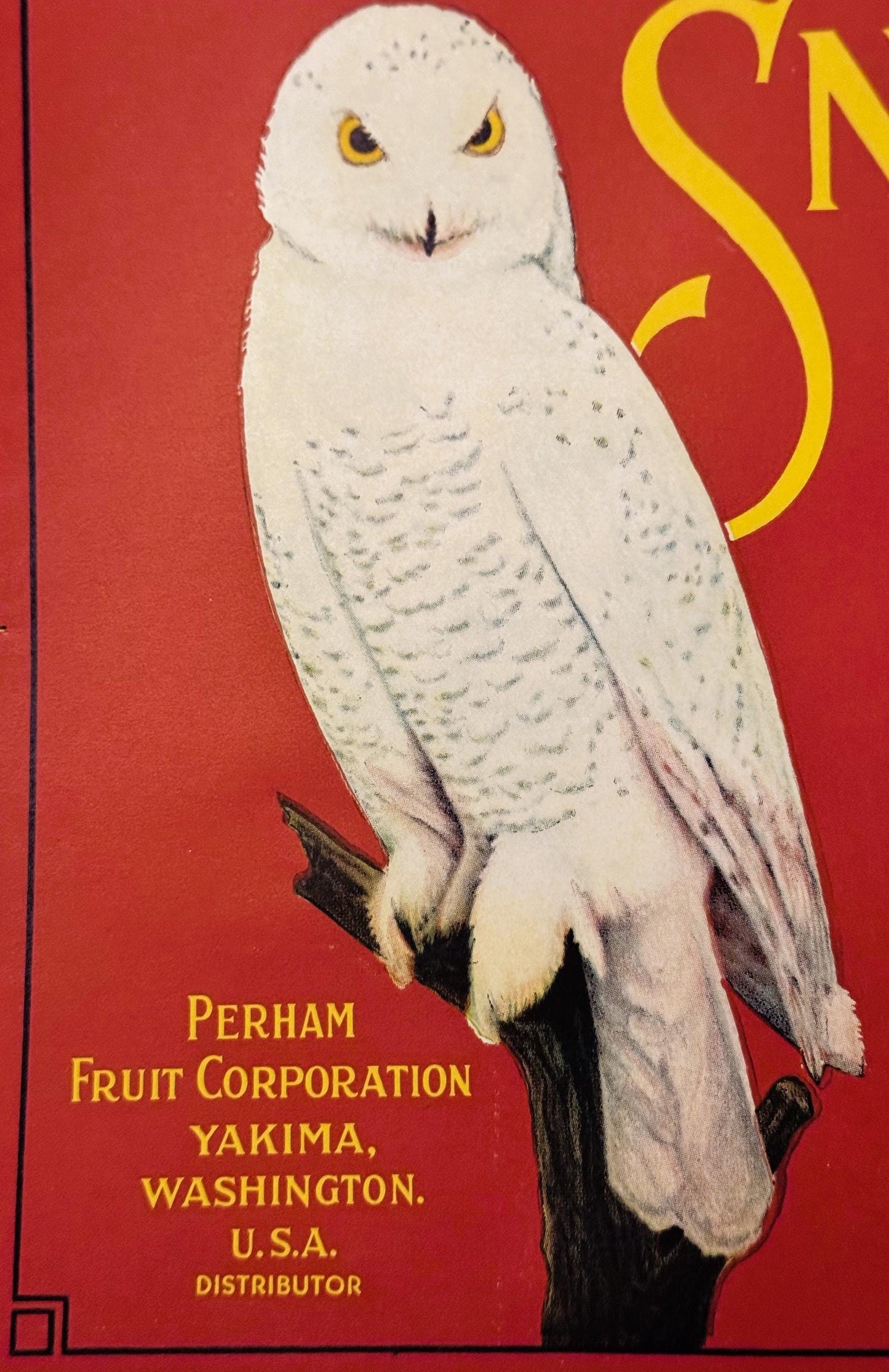 Vintage fruit crate label featuring a white snowy owl with yellow eyes on red background, yellow text reading "Perham Fruit C