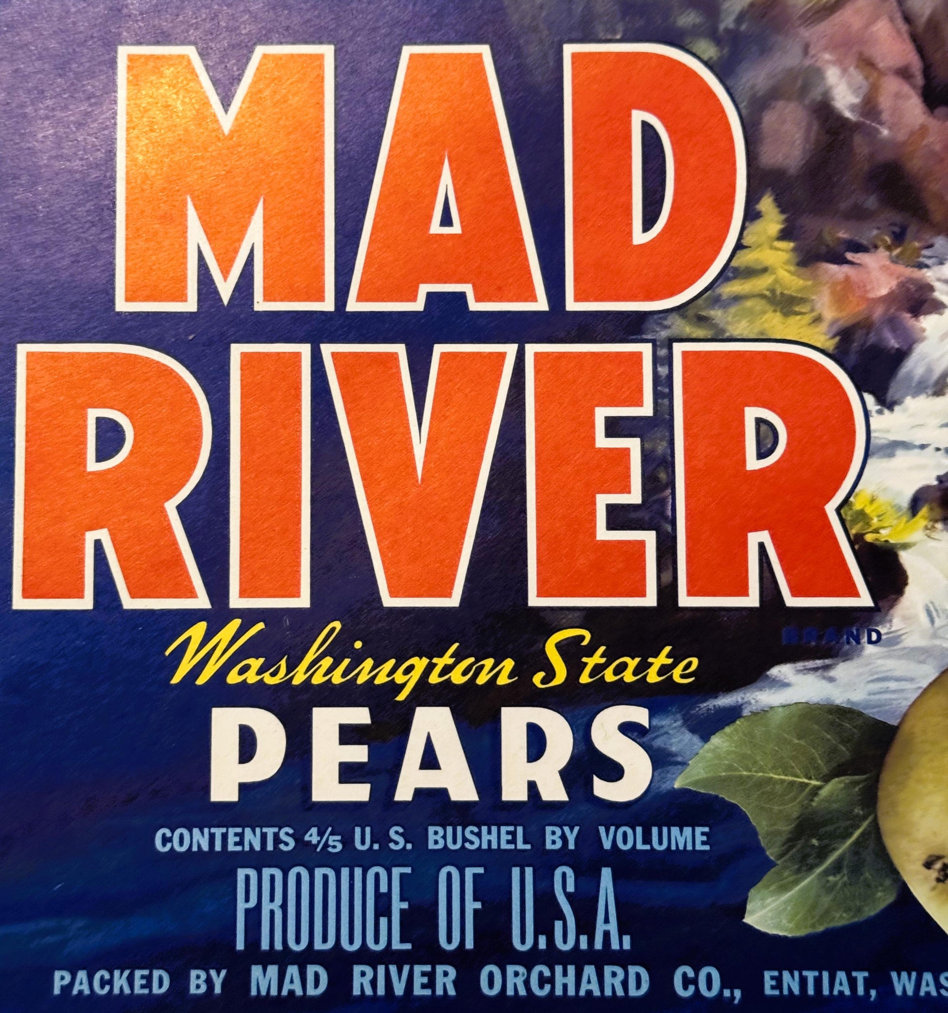 Vintage Mad River Washington State pears crate label with bold orange text and pear imagery on blue background