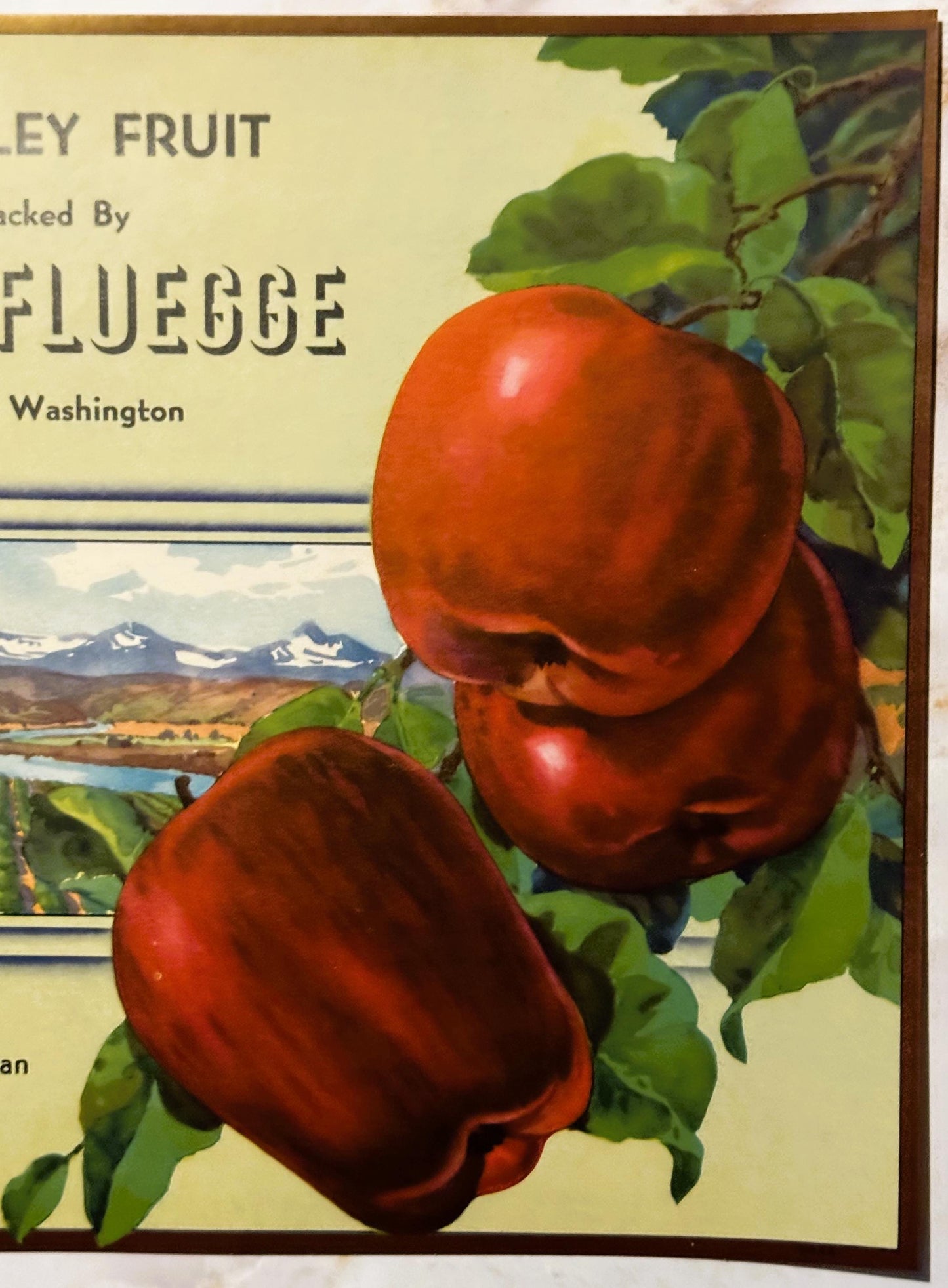 Vintage fruit crate label featuring three large red apples on a branch with green leaves, text reading "Fluegge" and "Washing